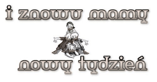 Kaczory nowy tydzień